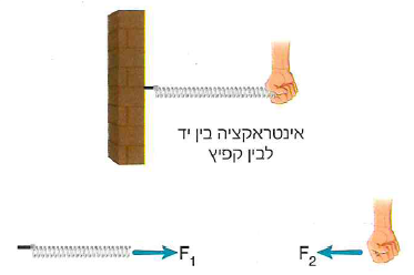 (בספר איור, היעזר במנחה)